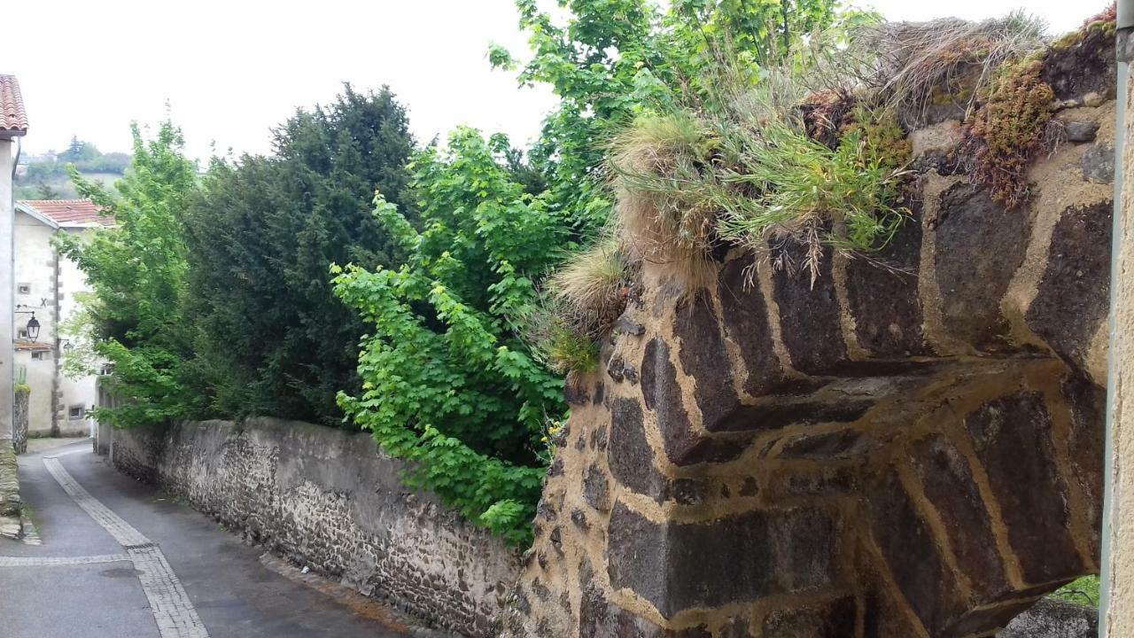 Ferienwohnung Le Petit Dyke Le Puy-en-Velay Exterior foto